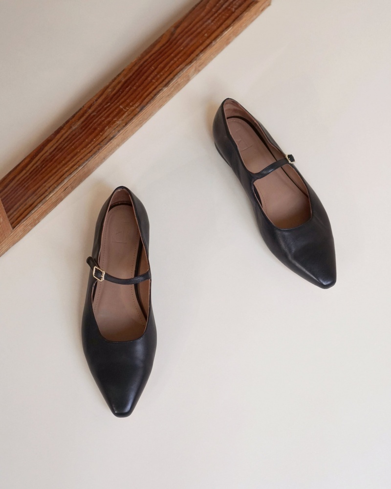 Black Flattered Camila Leather Shoes Ballet Flats | AUXMI12524